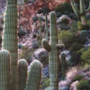 Meet your Posher, Linda